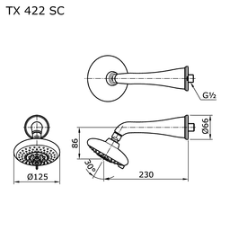 https://admin.bangunanxpress.com/storage/2136/TOTO-TX422SC-CURIO-WALL-SHOWER.png color option