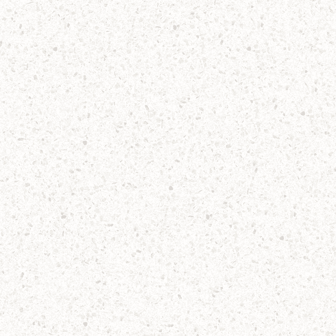 KIA TERRAZO WHITE