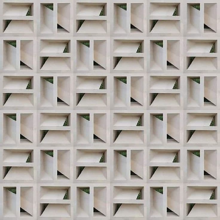 ROOSTER KUPU-KUPU PUTIH