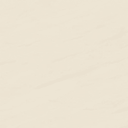 HERCULES FT (B) MARIUS BONE 40X40 KW1*