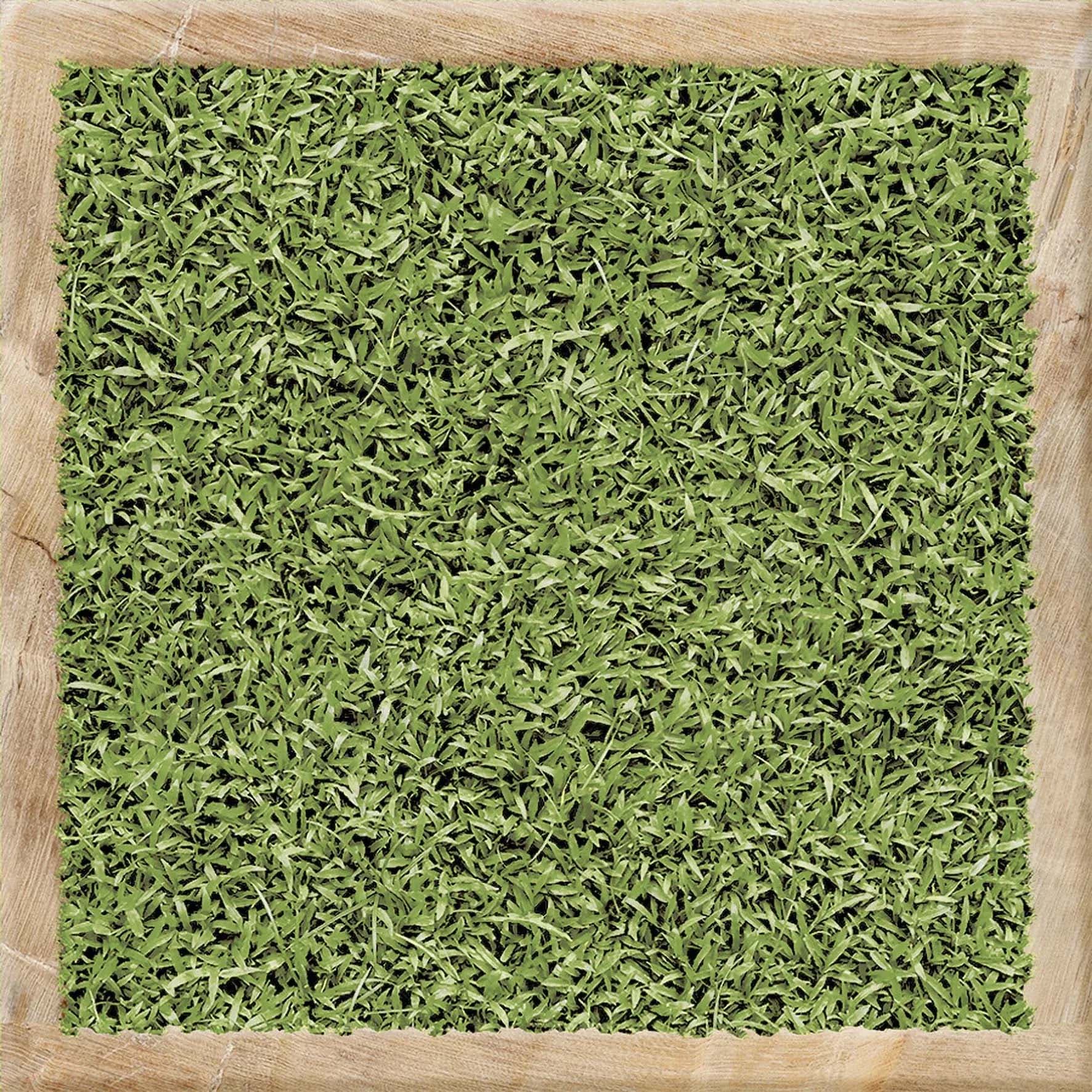 KIA COLONY GREEN UK.30X30 KW1