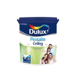 https://admin.bangunanxpress.com/storage/3448/DULUX-CEILING-PENTALITE-VIS-108.jpg color option