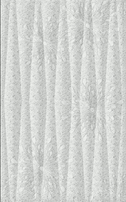 https://admin.bangunanxpress.com/storage/4193/MULIA-SIGNATURE-WT-FENNEL-GREY-UK-25X40-KW1.png color option